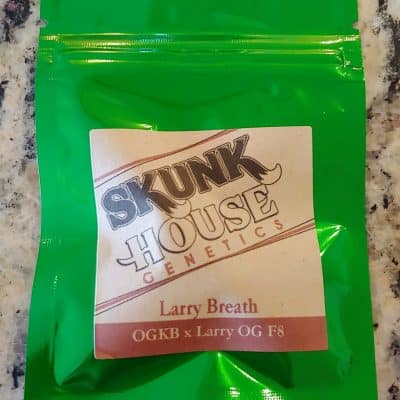 SKUNK_HOUSE_GENETICS_LARRY_BREATH_LUSCIOUS_GENETICS