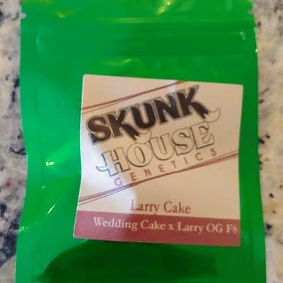 SKUNK_HOUSE_GENETICS_LARRY_CAKE_LUSCIOUS_GENETICS