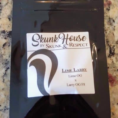 SKUNK_HOUSE_GENETICS_LIME_LARRY_LUSCIOUS_GENETICS