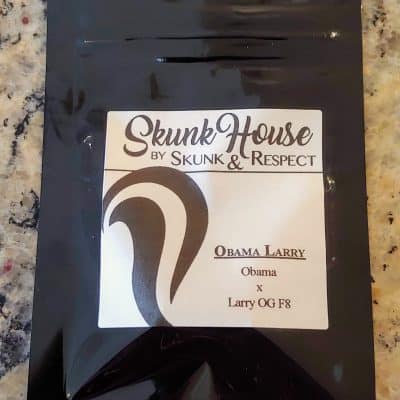 SKUNK_HOUSE_GENETICS_OBAMA_LARRY_LUSCIOUS_GENETICS