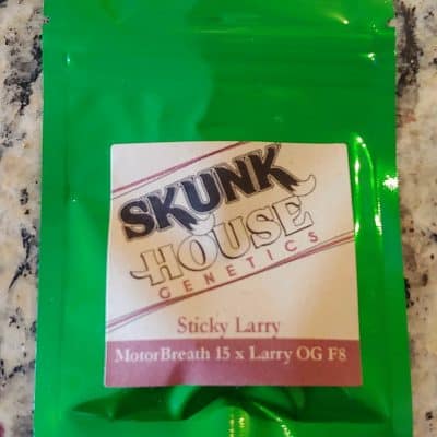 SKUNK_HOUSE_GENETICS_STICKY_LARRY_LUSCIOUS_GENETICS