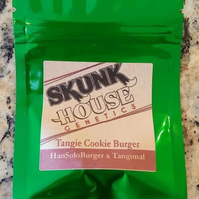 SKUNK_HOUSE_GENETICS_TANGIE_COOKIE_BURGER_LUSCIOUS_GENETICS