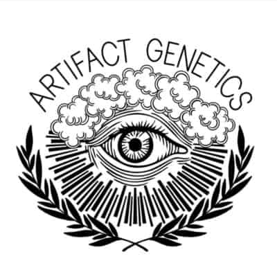 Artifact Genetics
