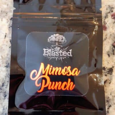BLASTED_GENETICS_MIMOSA_PUNCH_A_LUSCIOUS_GENETICS