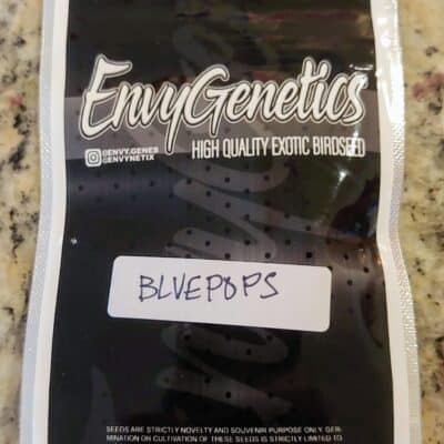 ENVY_GENETICS_BLUEPOPS_A_LUSCIOUS_GENETICS