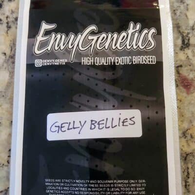 ENVY_GENETICS_GELLYBELLIES_A_LUSCIOUS_GENETICS