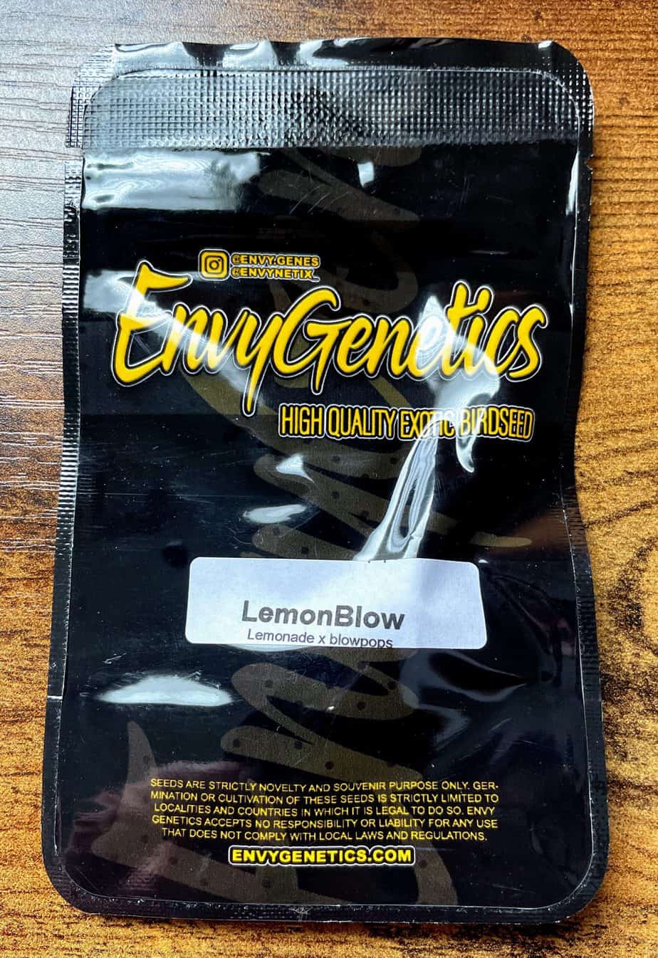 ENVY_GENETICS_LEMON_BLOW_NEW_COLOR_LUSCIOUS_GENETICS