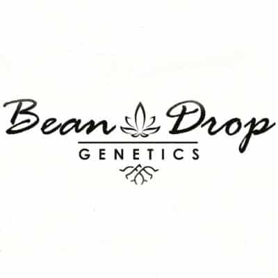 Bean Drop Genetics