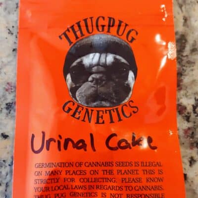 THUG_PUG_GENETICS_URINAL_CAKE_LUSCIOUS_GENETICS