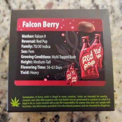 EXOTIC_GENETIX_FALCON_BERRY_LUSCIOUS_GENETICS