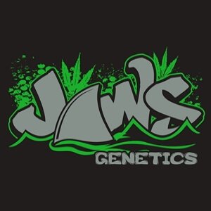 JAWS_GENETICS_LOGO_LUSCIOUS_GENETICS