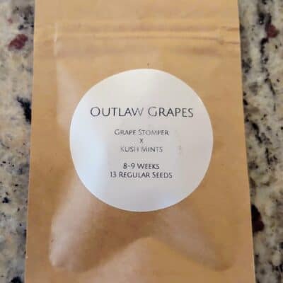 LAWLESS_BREED_GENETICS_OUTLAW_GRAPES_LUSCIOUS_GENETICS