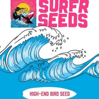 Surfr Seeds