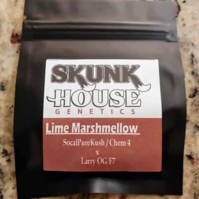 SKUNK_HOUSE_GENETICS_LIME_MARSHMELLOW_LUSCIOUS_GENETICS