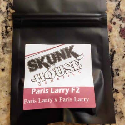 SKUNK_HOUSE_GENETICS_PARIS_LARRY_F2_LUSCIOUS_GENETICS