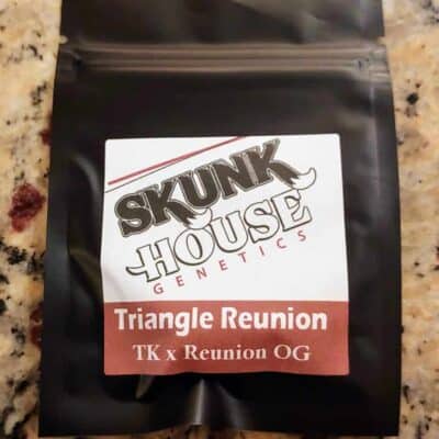 SKUNK_HOUSE_GENETICS_TRIANGLE_REUNION_LUSCIOUS_GENETICS