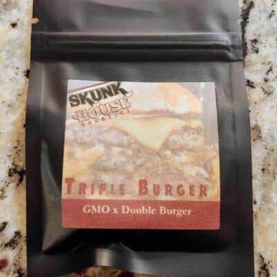 SKUNK_HOUSE_GENETICS_TRIPLE_BURGER_LUSCIOUS_GENETICS
