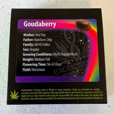 EXOTIC_GENETIX_GOUDABERRY_LUCSIOUS_GENETICS
