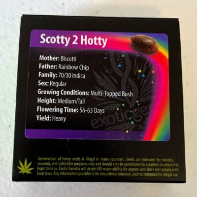 EXOTIC_GENETIX_SCOTTY_2_HOTTY_LUSCIOUS_GENETICS