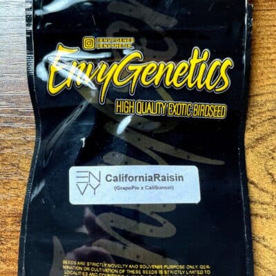 ENVY_GENETICS_CALIFORNIA_RAISIN_LUSCIOUS_GENETICS