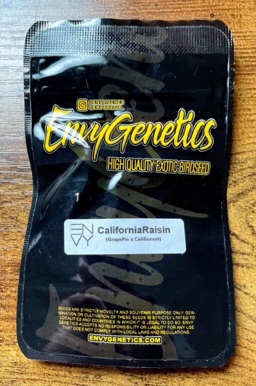 ENVY_GENETICS_CALIFORNIA_RAISIN_LUSCIOUS_GENETICS