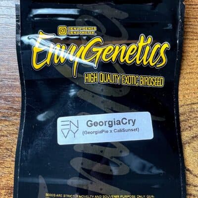ENVY_GENETICS_GEORGIA_CRY_LUSCIOUS_GENETICS