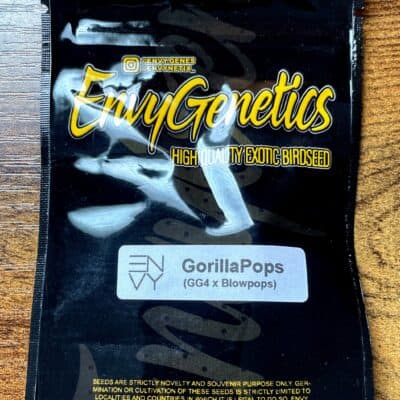 ENVY_GENETICS_GORILLAPOPS_LUSCIOUS_GENETICS