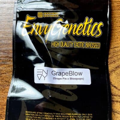 ENVY_GENETICS_GRAPEBLOW_LUSCIOUS_GENETICS