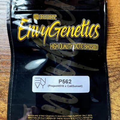 ENVY_GENETICS_P562_LUSCIOUS_GENETICS