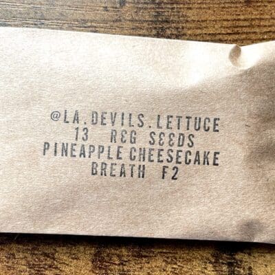 LA_DEVILS_LETTUCE_PINEAPPLE_CHEESECAKE_BREATH_F2_PACK_LUSCIOUS_GENETICS