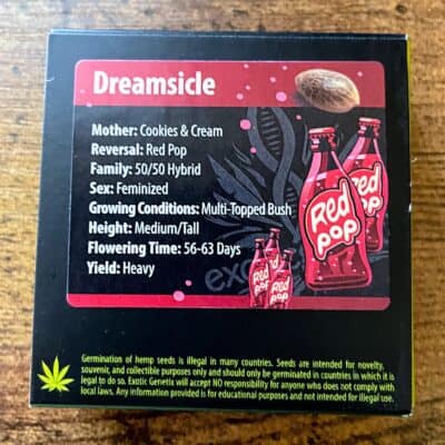 EXOTIC_GENETIX_DREAMSICLE_LUSCIOUS_GENETICS