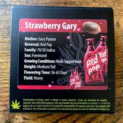 EXOTIC_GENETIX_STRAWBERRY_GARY_LUSCIOUS_GENETICS