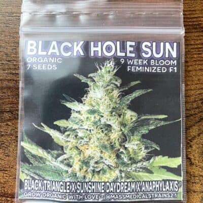 MASS_MEDICAL_STRAINS_BLACK_HOLE_SUN_LUSCIOUS_GENETICS