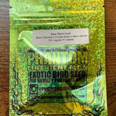 PHANTOM_FIRE_GENETICS_MAUI_BLACK_KUSH_LUSCIOUS_GENETICS
