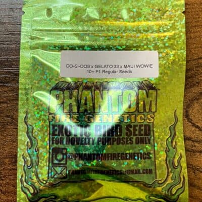 PHANTOM_FIRE_GENETICS_MAUI_DOUGH_LUSCIOUS_GENETICS