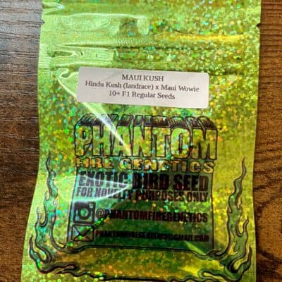 PHANTOM_FIRE_GENETICS_MAUI_KUSH_LUCSIOUS_GENETICS
