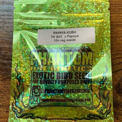 PHANTOM_FIRE_GENETICS_PAPAYA_KUSH_LUSCIOUS_GENETICS