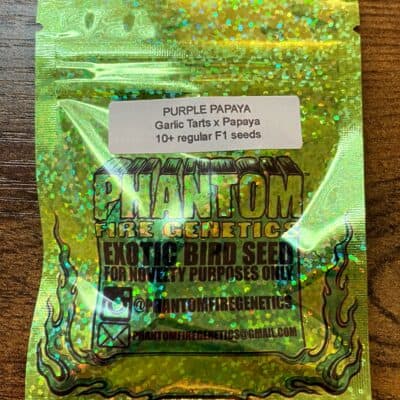 PHANTOM_FIRE_GENETICS_PURPLE_PAPAYA_LUSCIOUS_GENETICS