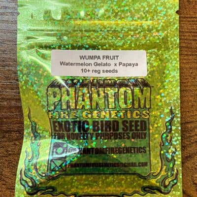 PHANTOM_FIRE_GENETICS_WUMPA_FRUIT_LUCSIOUS_GENETICS