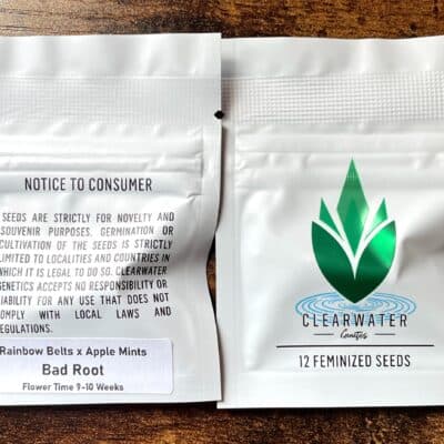 CLEARWATER_GENETICS_BAD_ROOT_LUSCIOUS_GENETICS