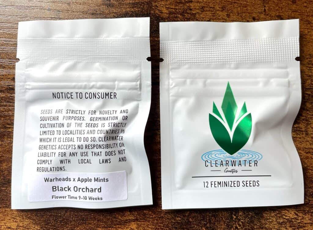 Clearwater Black Orchard(F) Luscious