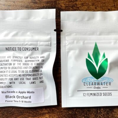 CLEARWATER_GENETICS_BLACK_ORCHARD_LUCSIOUS_GENETICS