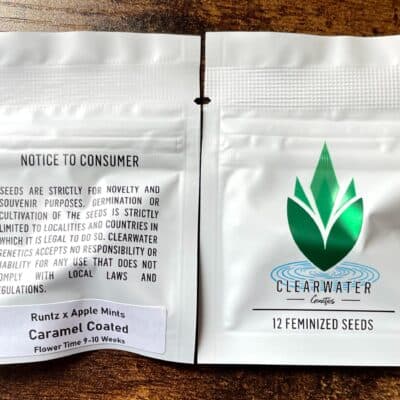 CLEARWATER_GENETICS_CARAMEL_COATED_LUSCIOUS_GENETICS