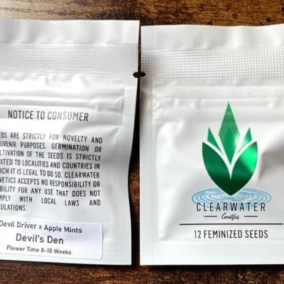 CLEARWATER_GENETICS_DEVILS_DEN_LUSCIOUS_GENETICS