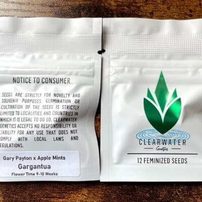 CLEARWATER_GENETICS_GARGANTUA_LUSCIOUS_GENETICS