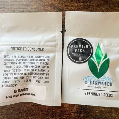 CLEARWATER_GENETICS_8_EAST_LUSCIOUS_GENETICS