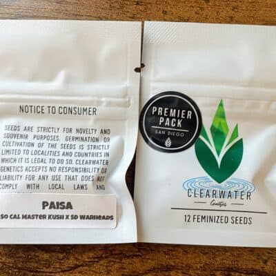 CLEARWATER_GENETICS_PIASA_LUSCIOUS_GENETICS