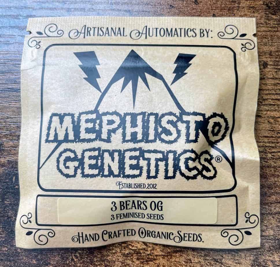 MEPHISTO_GENETICS_3BEARS_OG_3PK_LUSCIOUS_GENETICS
