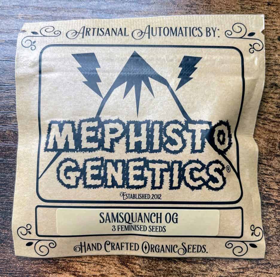 MEPHISTO_GENETICS_SAMSQUANCH_OG_3PK_LUSCIOUS_GENETICS