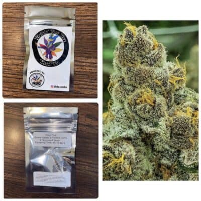 NUTHIN_BUT_GAS_SEED_CO_PIMP_FRUIT_LUSCIOUS_GENETICS